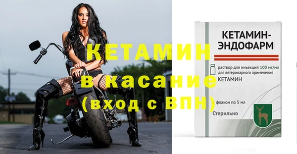 сатива Гусиноозёрск
