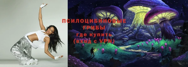 spice Аркадак