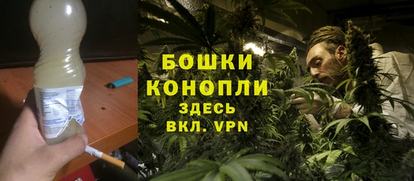 spice Аркадак